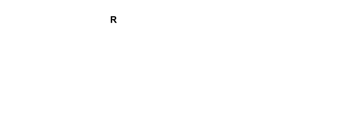 Onyx Chem Trade Pvt Ltd